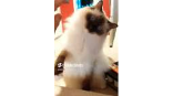 Related video thumbnail
